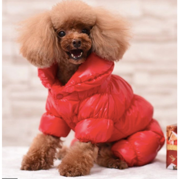 Puffer jacket for small dog - Red NWT - Picture 1 of 11